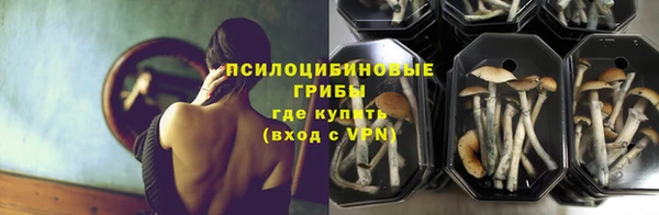 дмт Пестово
