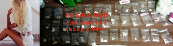 дмт Пестово