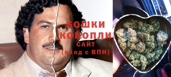 дмт Пестово