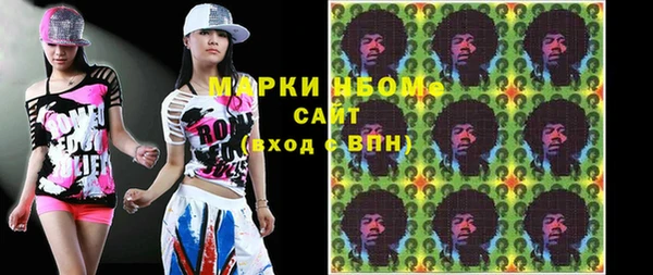 дмт Пестово