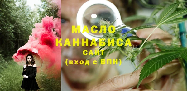 дмт Пестово