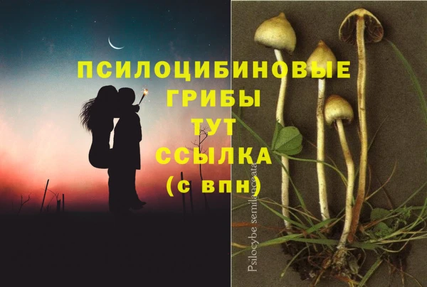дмт Пестово