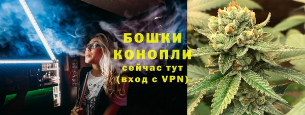ГАЛЛЮЦИНОГЕННЫЕ ГРИБЫ Переславль-Залесский