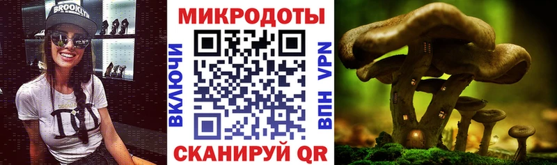 hydra вход  Спас-Деменск  Псилоцибиновые грибы Psilocybine cubensis  даркнет сайт 